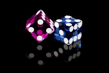 Select your bet type and stake before the window closes. Dragon Hatch betting interface showing bet selection and payout preview